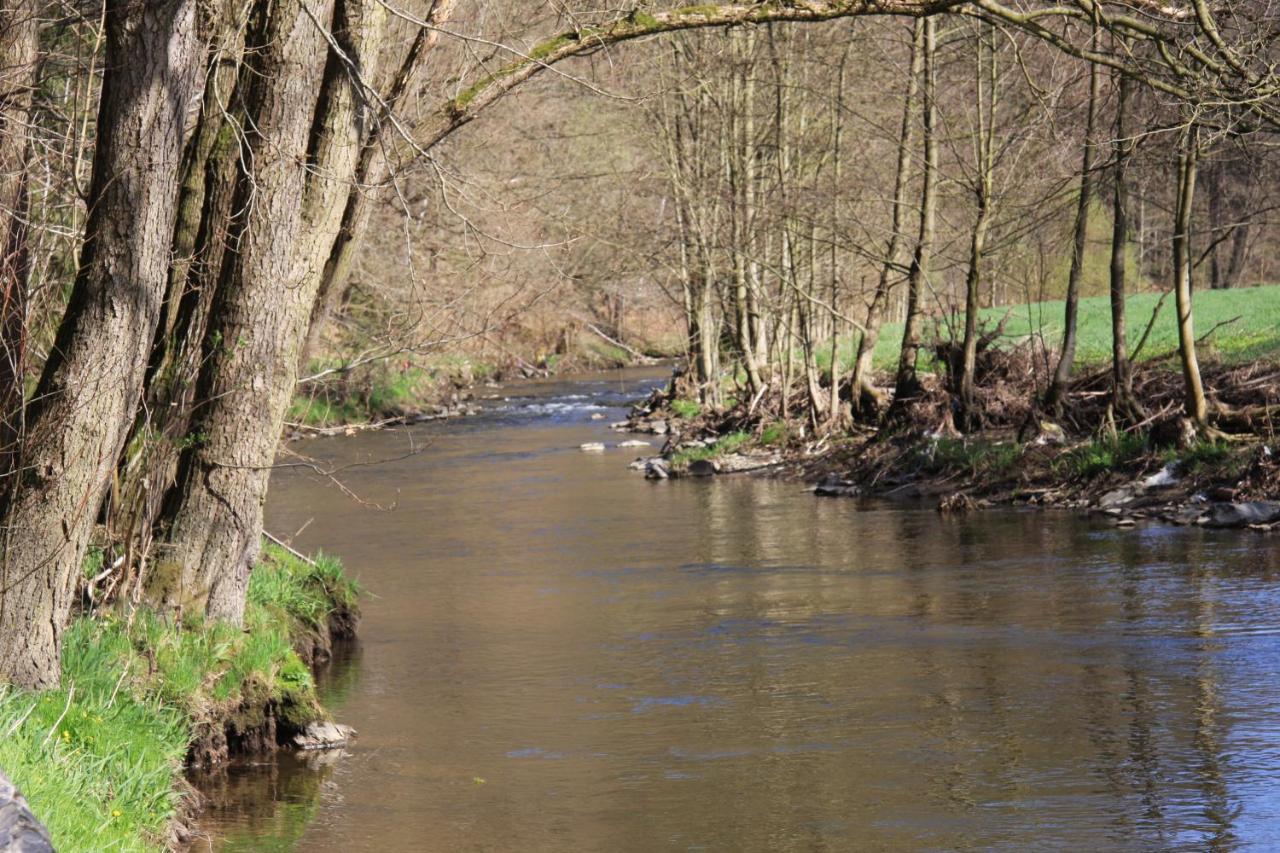 Hotel Waldfrieden Elsterberg Buitenkant foto